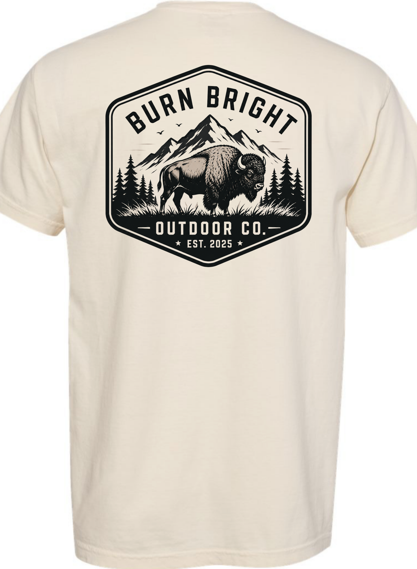 High Country Bison